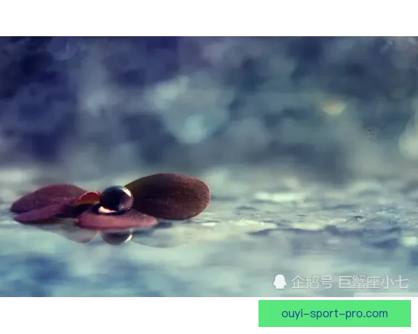 我与辛纳如硬币两面，相隔网中彼此映照的微妙关系